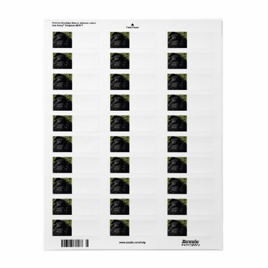 zwarte ogen etiket (Full Sheet)