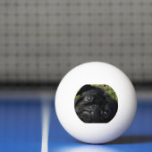 zwarte ogen pingpongbal (Net)