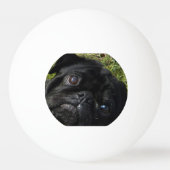 zwarte ogen pingpongbal (Voorkant)