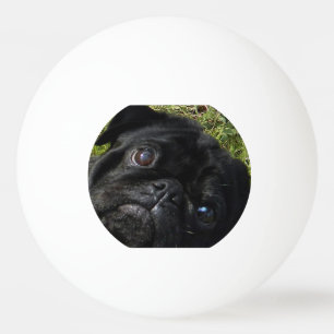 zwarte ogen pingpongbal