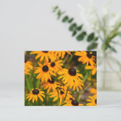 Zwarte ogen Susan Maryland State Flower Briefkaart (Staand voorkant)