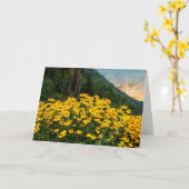 Zwarte-ogige Susans in bergen Kaart (Gele Bloem)