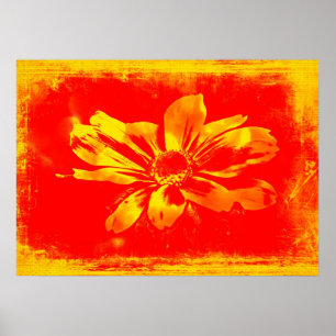 Zwarte-Oog Susanna-Wildebloem - Digitale Kunst Poster
