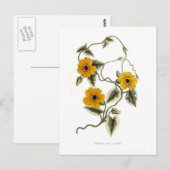 Zwarte-oogige Susan Briefkaart (Voorkant / Achterkant)