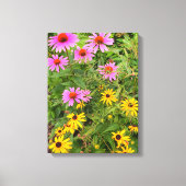 Zwarte-oogige Susan Canvas Afdruk (Voorkant)