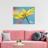 Zwarte-oogige Susan Canvas Afdruk (Insitu (Woonkamer))