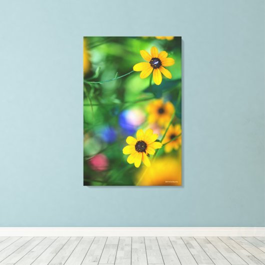 Zwarte-oogige Susan Canvas Afdruk (Insitu (Houten vloer))