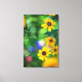 Zwarte-oogige Susan Canvas Afdruk (Voorkant)