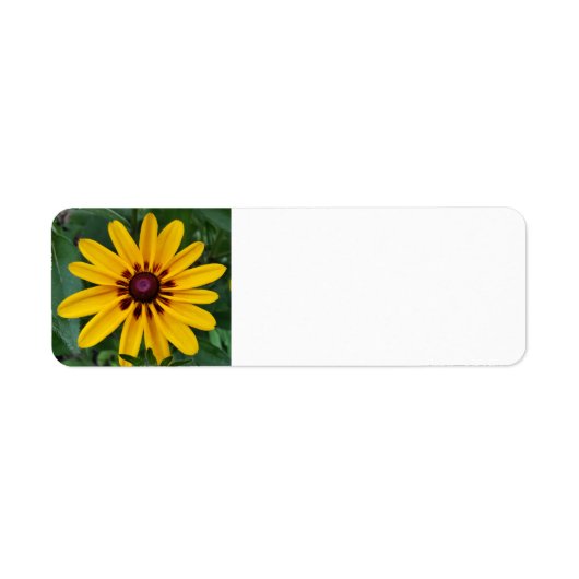 Zwarte-oogige Susan Etiket (Voorkant)