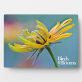 Zwarte-oogige Susan Fotoplaat (voorkant)