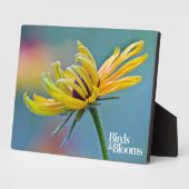 Zwarte-oogige Susan Fotoplaat (Zijkant)