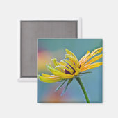 Zwarte-oogige Susan Magneet (Voorkant / Achterkant)