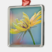 Zwarte-oogige Susan Metalen Ornament (Links)