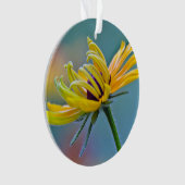 Zwarte-oogige Susan Ornament (voorkant)