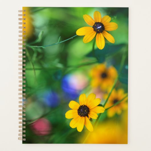 Zwarte-oogige Susan Planner (Voorkant)