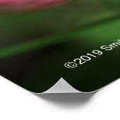 Zwarte-oogige Susan Poster (Hoek)