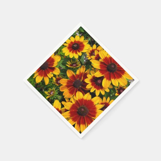 Zwarte-oogige Susan Servet (Hoek)