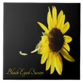  zwarte oogschoran op zwart tegeltje (Voorkant)