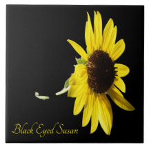  zwarte oogschoran op zwart