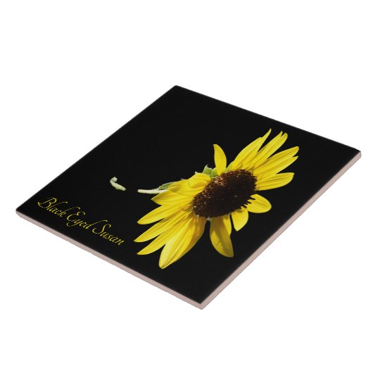  zwarte oogschoran op zwart tegeltje (Zijkant)