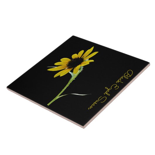  zwarte oogschoran op zwart tegeltje (Zijkant)