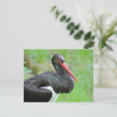 Zwarte ooievaar briefkaart (Staand voorkant)
