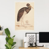 Zwarte ooievaar (Ciconia nigra) 1835, Lear, Edward Poster (Thuiskantoor)