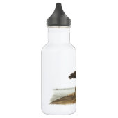Zwarte Oystercatcher door Audubon Waterfles (Links)