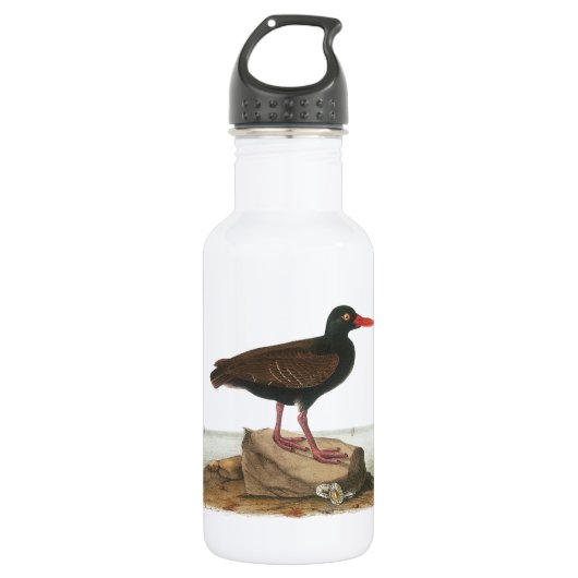 Zwarte Oystercatcher door Audubon Waterfles (Voorkant)
