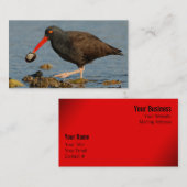 Zwarte Oystercatcher met Clam Visitekaartje (Voorkant / Achterkant)