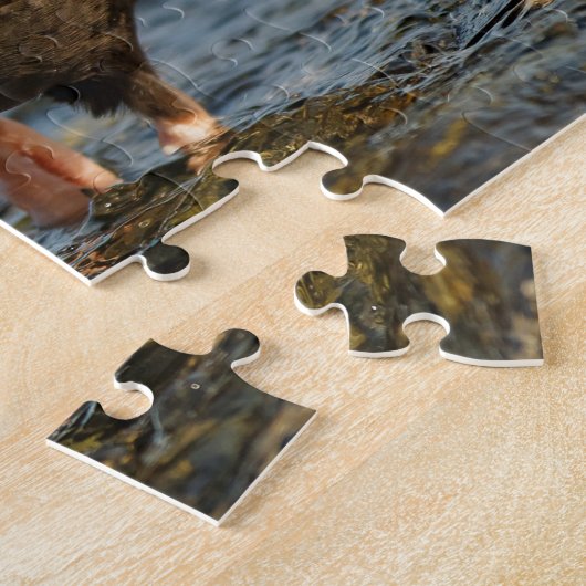 Zwarte Oystercatcher op het werk Legpuzzel (Zijkant)