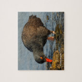 Zwarte Oystercatcher op het werk Legpuzzel (Verticaal)