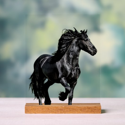 Zwarte paard acryl bord (Neutraal)