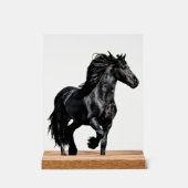 Zwarte paard acryl bord (Voorkant)
