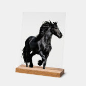 Zwarte paard acryl bord (Hoek)