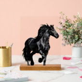 Zwarte paard acryl bord (Huwelijk)
