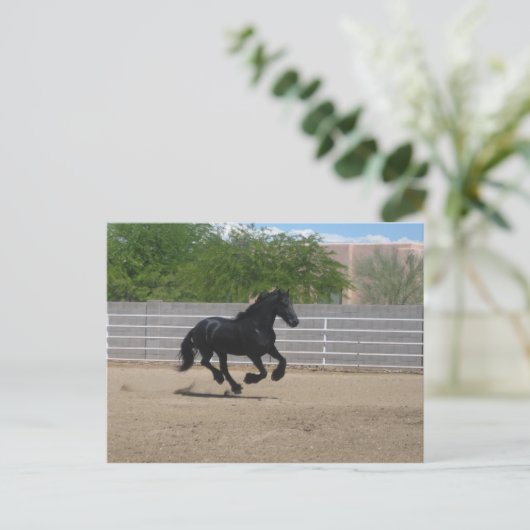 zwarte paard briefkaart (Staand voorkant)