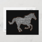 zwarte paard briefkaart (Voorkant / Achterkant)