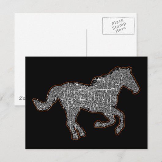 zwarte paard briefkaart (Voorkant / Achterkant)