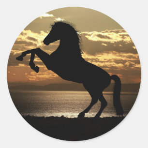 Zwarte paard/ bruine stickers. ronde sticker