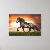 zwarte paard canvas afdruk (Voorkant)