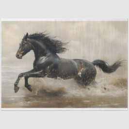 Zwarte Paard dat op het Strand Rent Decoupage Tissuepapier