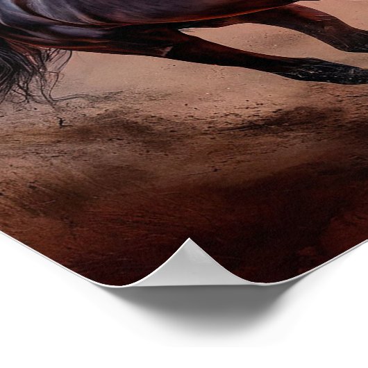 Zwarte paard esthetiek poster (Hoek)