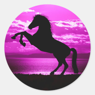 Zwarte paard/ paarse stickers. ronde sticker