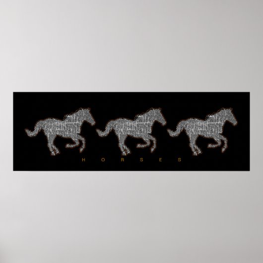 zwarte paard poster (Voorkant)