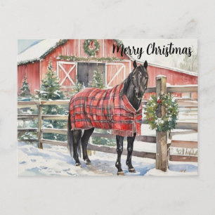 Zwarte Paard Prettig Kerstfeest Briefkaart