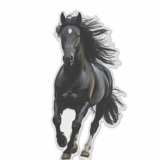 Zwarte paard sticker (Voorkant)