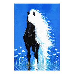 Zwarte Paard Witte Manen Wandelend op Water Foto Afdruk