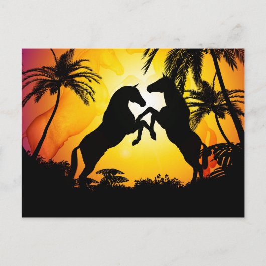 Zwarte paarden briefkaart (Voorkant)