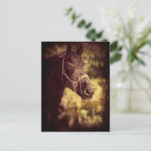 Zwarte paarden briefkaart (Staand voorkant)